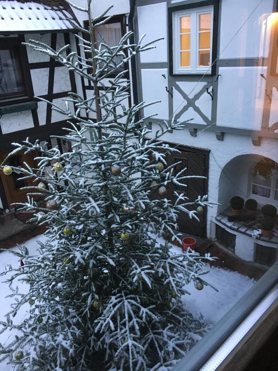 Die Gruene Bettlad Boutique-Hotel Bühl Buitenkant foto