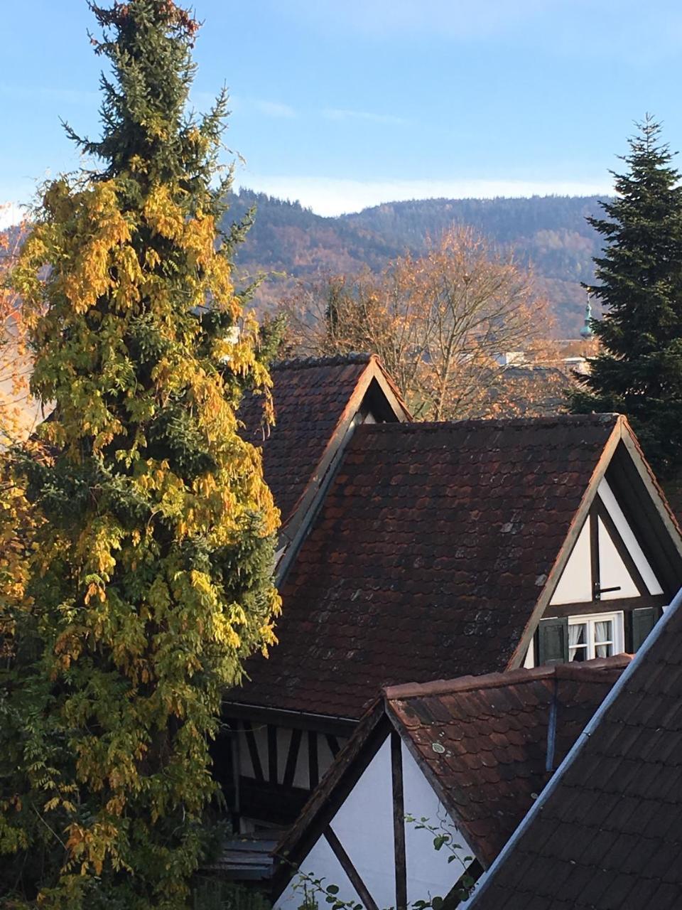 Die Gruene Bettlad Boutique-Hotel Bühl Buitenkant foto
